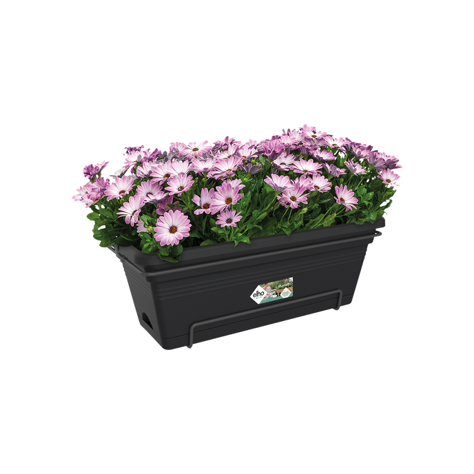 green basics balkonkasten xl allin1 55cm living schwarz